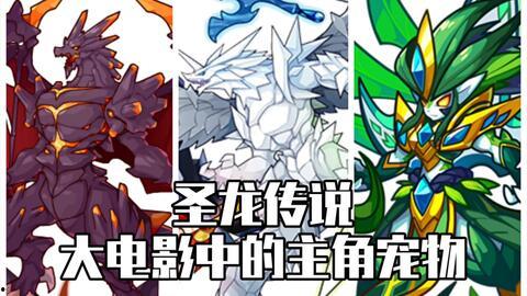 洛克王国之圣龙骑士,圣龙骑士的荣耀征程