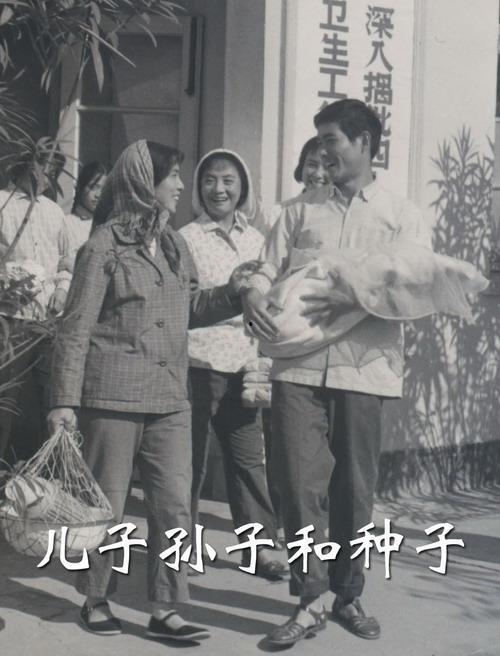 儿子、孙子和种子,儿子、孙子和种子的生命轨迹