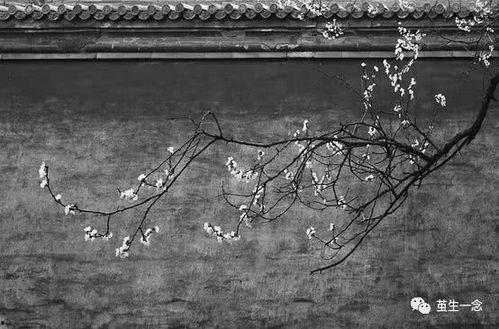 锦书不寄旧日山盟