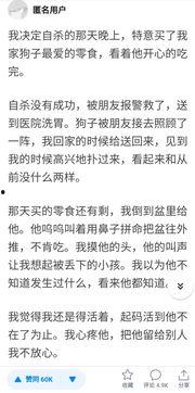 霍总我治好了您的抑郁症,心理治疗助力战胜抑郁症