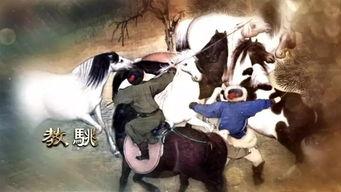 驯马记,揭秘马术运动的魅力与挑战