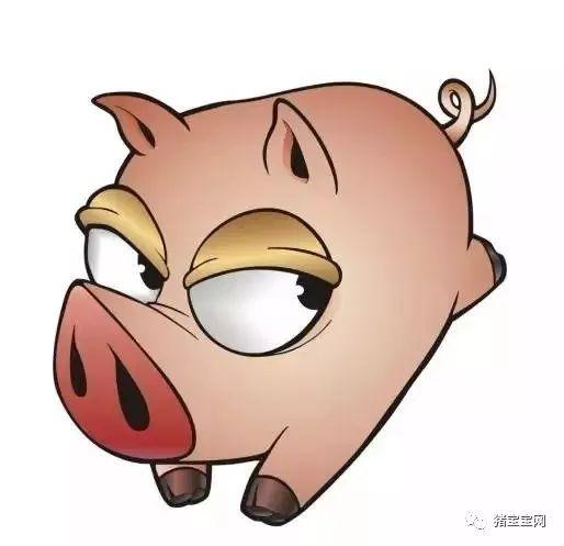 娱乐吃瓜酱肥肥猪的日常,笑料百出,趣味横生 第2张 娱乐吃瓜酱肥肥猪的日常,笑料百出,趣味横生 第2张