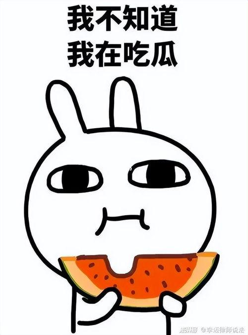 娱乐吃瓜酱肥肥猪的日常,笑料百出,趣味横生 第3张 娱乐吃瓜酱肥肥猪的日常,笑料百出,趣味横生 第3张