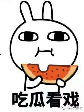 娱乐吃瓜君文字,揭秘娱乐圈那些不为人知的幕后故事